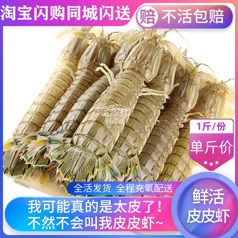 成都店同城闪送 鲜活皮皮虾爬爬活虾