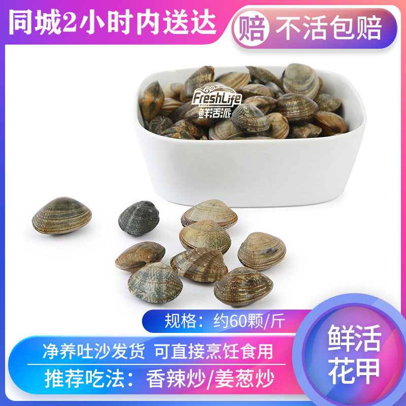 长沙店 鲜活无沙花甲60颗/斤花蚬子杂色蛤花蛤蜊青蛤干净肉肥