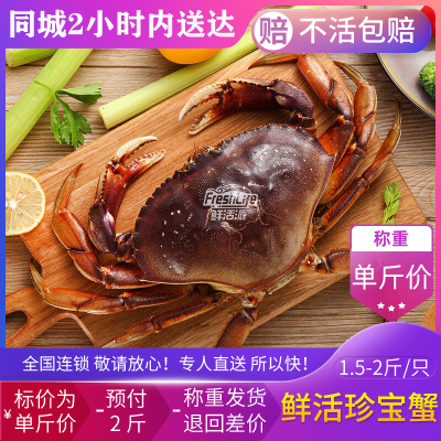 长沙店 鲜活加拿大珍宝蟹约2斤/只 拍2斤称重结算 大螃蟹蟹肉饱满