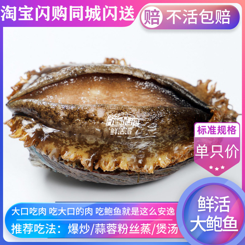 成都店同城闪送 鲜活2头大鲍鱼1只/份约250g大连天然鲍贝九孔螺鲍