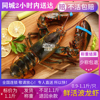 贵阳店 鲜活波龙虾0.9-1.1斤/只 称重结算 波士顿大龙虾大波龙