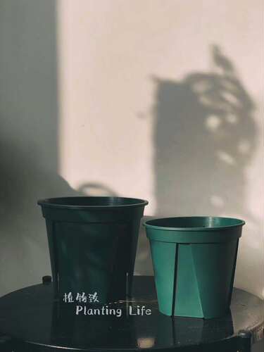 植物日本进口青山盆种植花盆神器