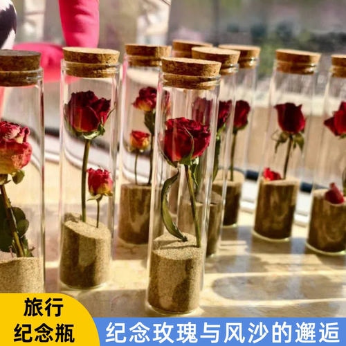 沙漠装沙瓶小王子玫瑰花青甘西北大环线收纳玻璃小礼物旅游行纪念