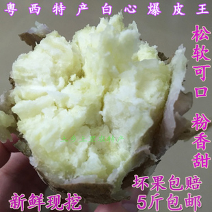 高州粤西特产爆皮王白心红薯新鲜现挖红皮白肉地瓜 香粉板栗薯5斤