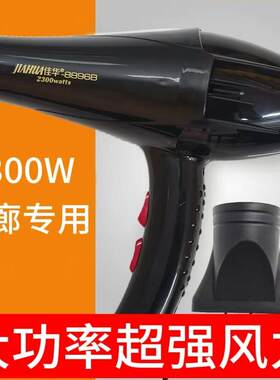 8896B大功率发廊理发店电吹风