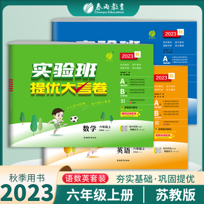 2023提优大考卷六年级语数英苏教