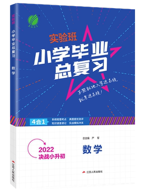 2026实验班小学毕业总复习语数英