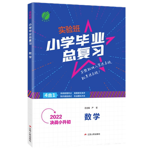2026版小升初专项训练套装 实验班小学毕业总复习语文数学英语提优训练 小学升学知识大集结 小升初专项训练真题集人教译林通用版