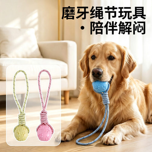 狗狗玩具耐咬幼犬磨牙训练球泰迪金毛宠物玩具大小型犬发声玩具球