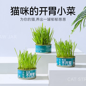猫草罐头小麦种子无土水培盆栽即食化毛懒人猫薄荷猫零食用品