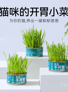 猫草罐头小麦种子无土水培盆栽即食化毛懒人猫薄荷猫零食用品