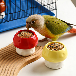 鹦鹉陶瓷食碗蘑菇小鸟粮食盆防打翻水碗牡丹玄凤虎皮食罐鸟专用品
