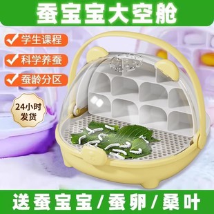 蚕宝宝太空养育舱养蚕别墅观察箱春蚕卵套装小学生养蚕套装送桑叶