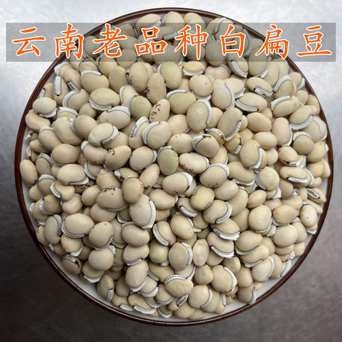 云南农家小粒药用白扁豆