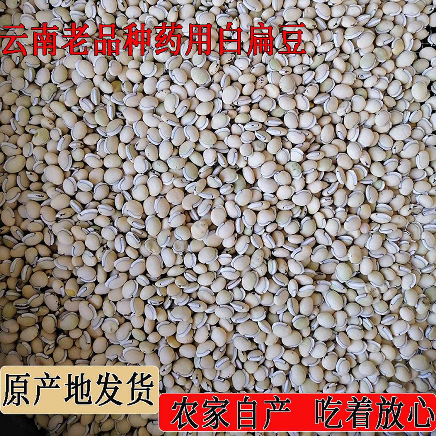 白扁豆中药材云南楚雄农家自种药用老品种小粒2026年新货