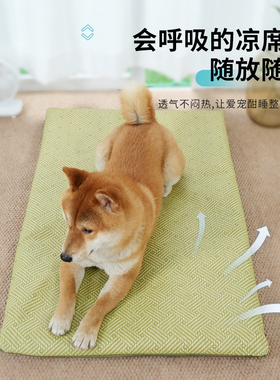 四季通用狗垫舒适耐看宠物凉席睡垫冰丝窝狗床猫窝沙发凉席狗垫子
