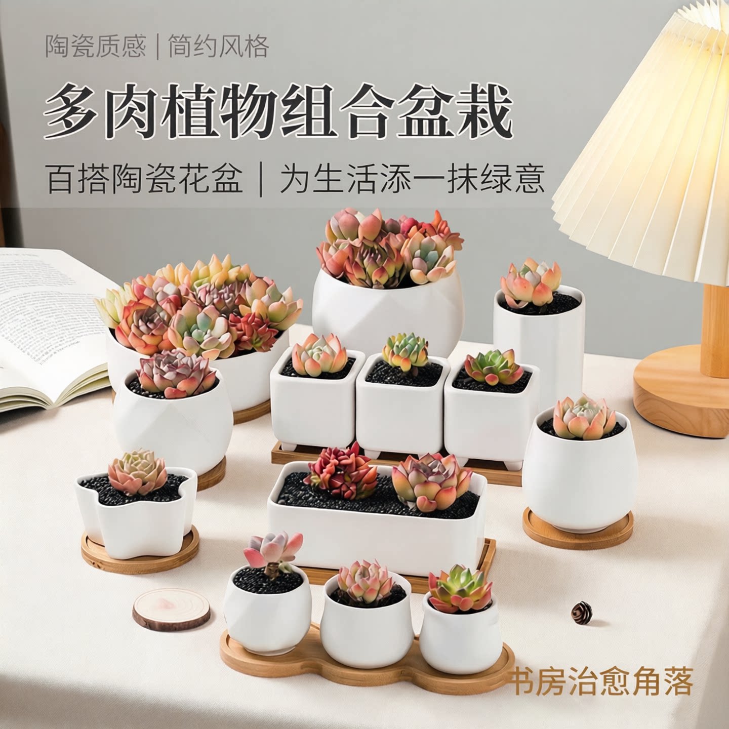 多肉植物花盆陶瓷盆正方形圆形