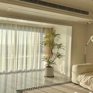 南天竹老桩盆栽大型室内绿植客厅植物好养活办公室盆景花卉除甲醛