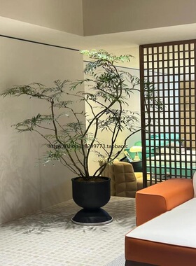 造型十大功劳禅意盆栽老桩黄天竹侘寂风绿植旺宅植物室内好养