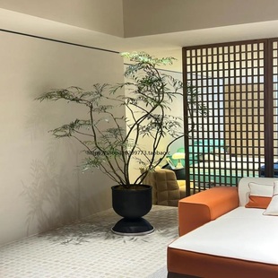 造型十大功劳禅意盆栽老桩黄天竹侘寂风绿植旺宅植物室内好养