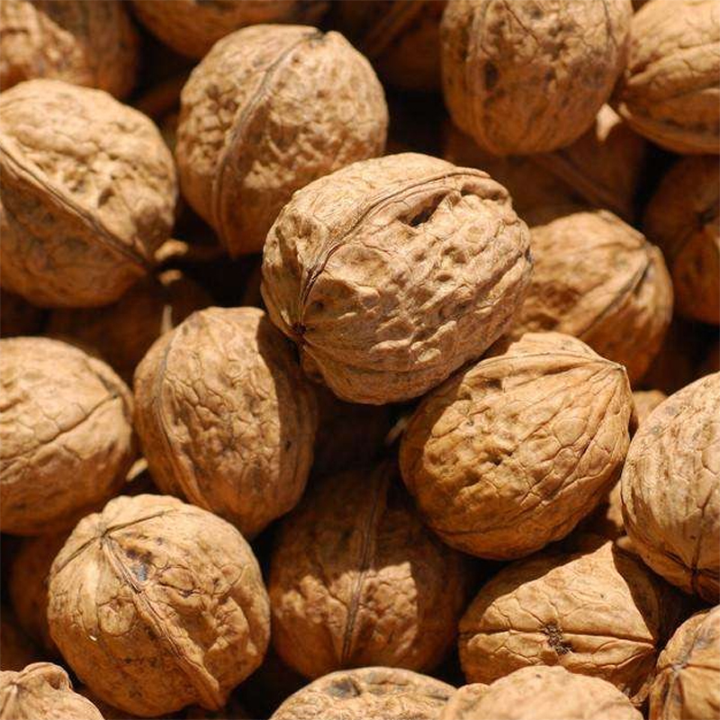 【小眼甄选】个头差异大小 今年壳包的紧  新疆阿克苏185纸皮核桃