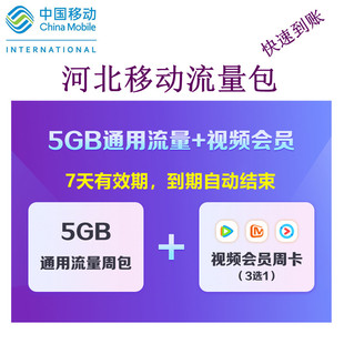 河北移动5G流量7天包随心看7天包通用流量