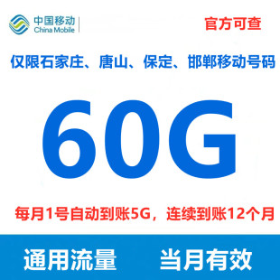 河北移动流量60G年包每月5G手机上网流量包充值仅邯郸石家庄唐山