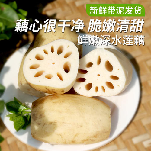 密农人家新鲜莲藕口感脆嫩农家藕