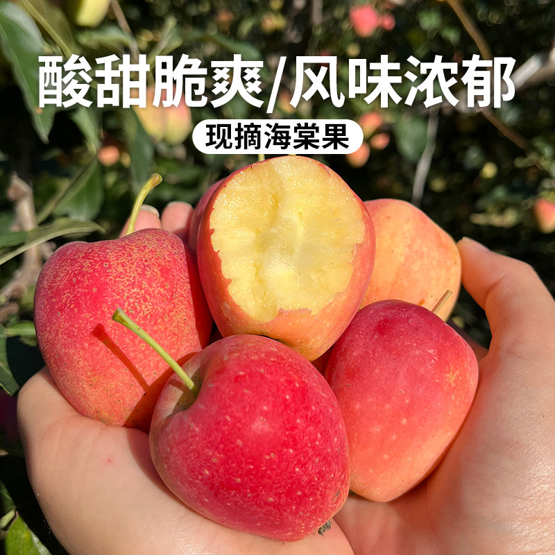 新鲜海棠果酸甜可口沙果小苹果