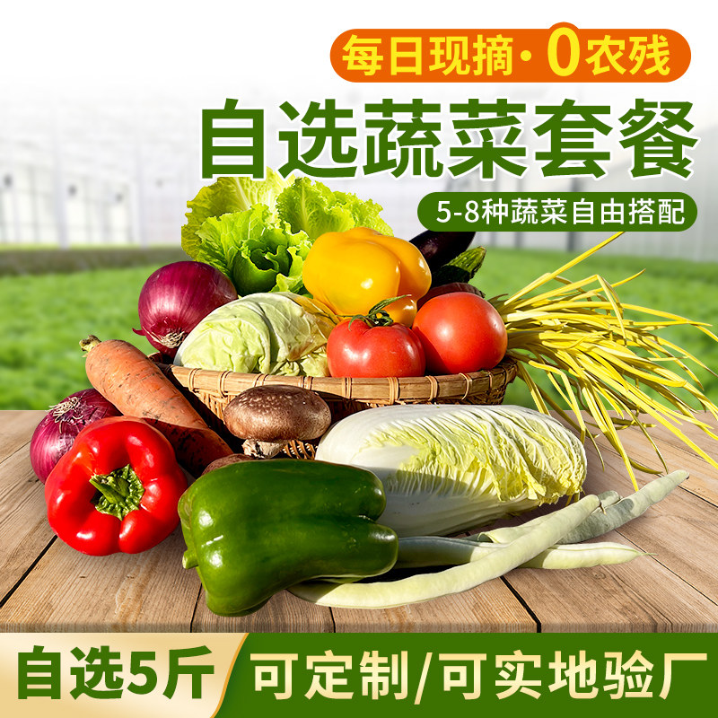 密农人家蔬菜套餐5斤 农残合格农家新鲜蔬菜包 当季蔬菜北京同城