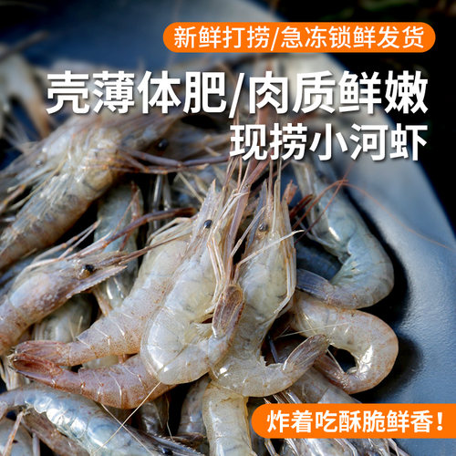 密农人家新鲜小河虾每日捕捞