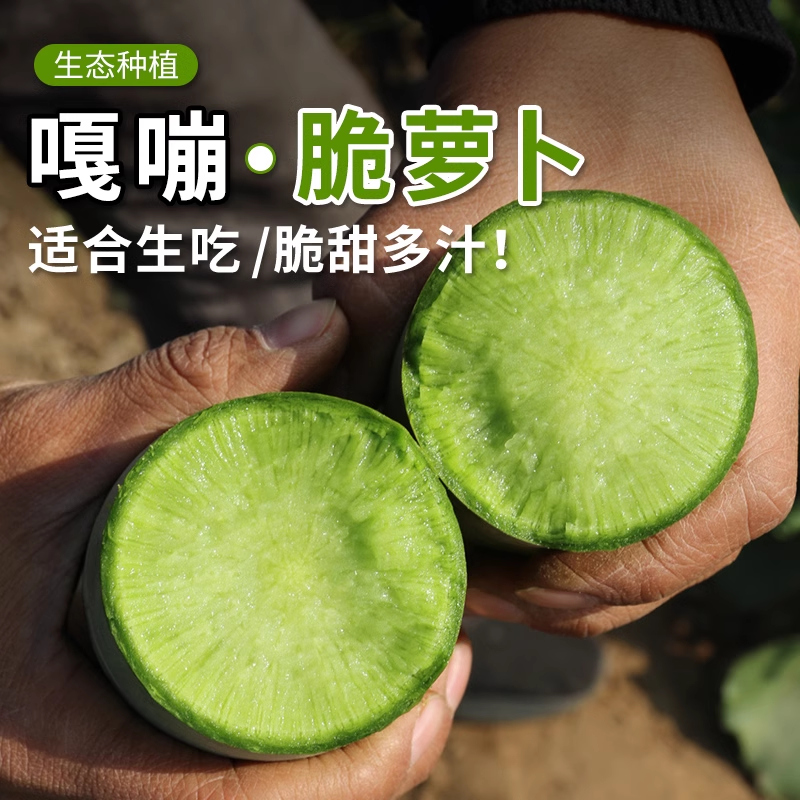 密农人家 嘎嘣脆水果萝卜 水分足脆甜微辣青萝卜生吃应季水果萝卜,水产肉类/新鲜蔬果/熟食,萝卜/胡萝卜,淘宝优惠券,粉丝福利购,淘宝优惠卷