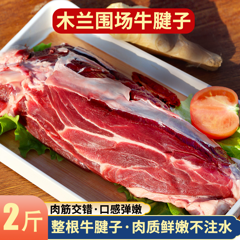 新鲜牛腱子围场散养小公牛腱子肉