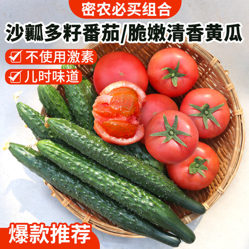 西红柿黄瓜不催熟清脆爽口