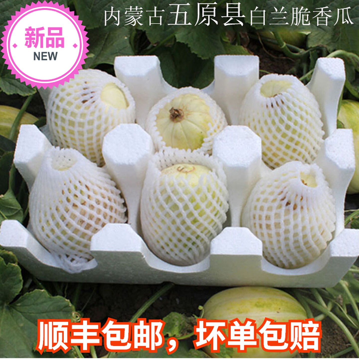 白兰脆香瓜甜瓜巴盟五原花皮小瓜现摘现发应季脆皮瓜新鲜顺丰包邮