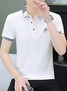 高品质夏男士潮流韩版翻领t恤衫时尚薄款百搭半袖气质短袖polo衫