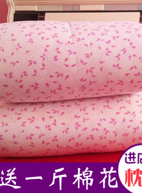 新疆纯棉加厚保暖手工冬被