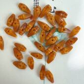 高端驼骨配饰擦擦金刚杵卡子隔珠藏式 文玩手串背云