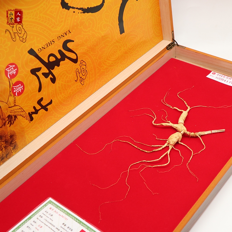 Certificate of gift box with wild ginseng changbai mountain在类目 传统滋补营养品, 参类滋补品, 山参中 - 来自Buy2taobao.com提供专业的淘宝代购服务