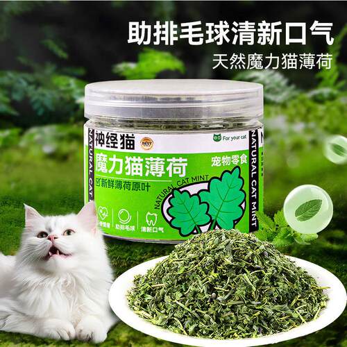 Cat snacks, catnip, edible dried leaves, clean mouth