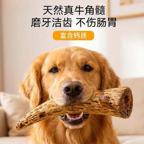 Pet snacks, dried cow horn molars 宠物零食风干牛角磨牙棒