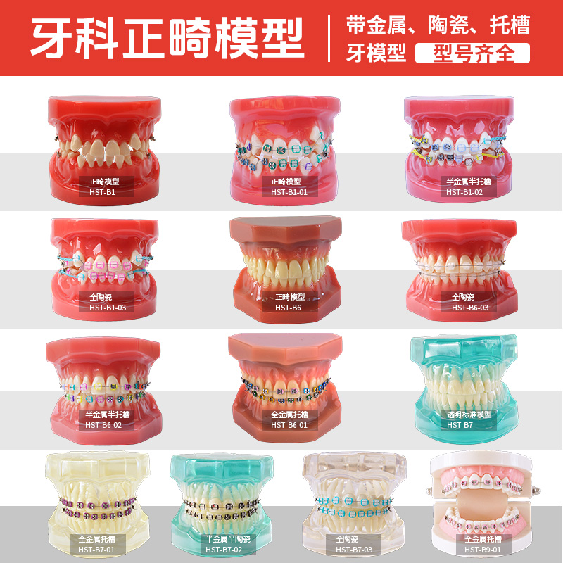 正畸牙模型半金属托槽标准牙模口腔教学牙模型种植可拆卸神经牙模
