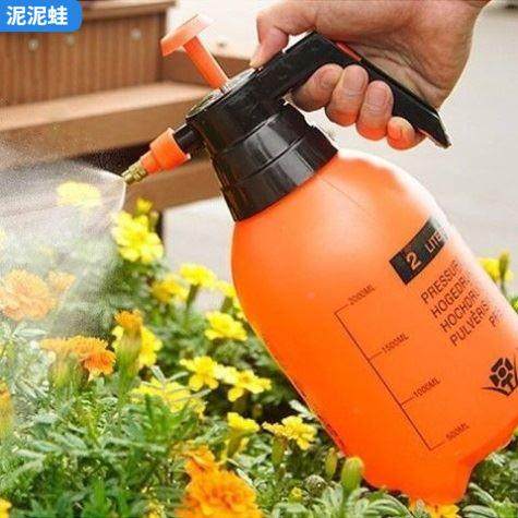 新款消毒雾喷壶浇花家喷水壶洒水壶气压式喷用雾水器浇壶高压喷瓶,农机/农具/农膜,灌溉工具,淘宝优惠券,粉丝福利购,淘宝优惠卷