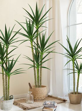 北欧仿真剑麻铁树植物盆栽装饰仿生绿植假树室内橱窗造景家居摆件