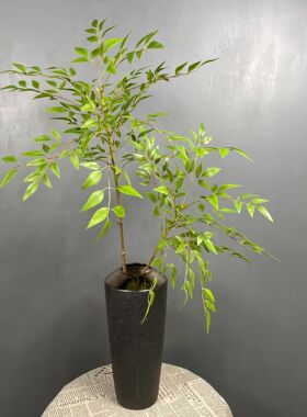 仿真南天竹2叉插枝新中式家居装饰摆件花艺工程橱窗展示仿真绿植