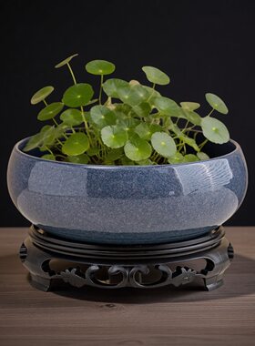无孔水仙铜钱草水培花盆陶瓷桌面碗莲荷花大号特价清仓室内水养盆