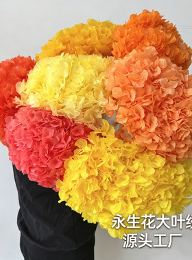 永生花大叶绣球云南工厂跨境婚礼家居软装装饰摆件花材