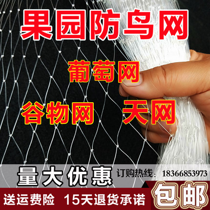 鱼塘果园果树防鸟网阳台菜园葡萄园樱桃大棚果树防鸟用的网尼龙