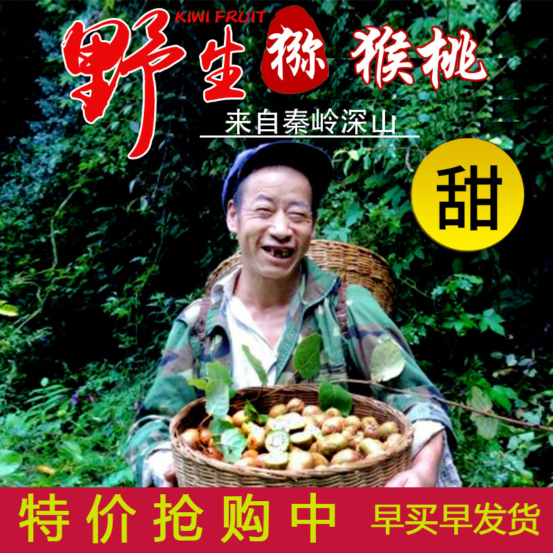 秦岭山区野生猕猴桃新鲜孕妇水果