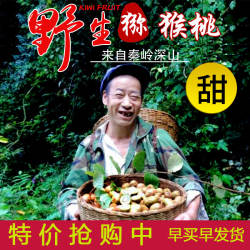 秦岭山区纯野生猕猴桃小新鲜现摘5斤10斤包邮孕妇水果奇异果绿心